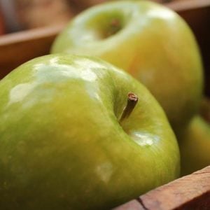 Bramley Apple Week